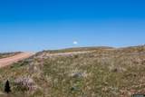 Track 272 Desperado Drive - Photo 36