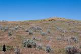 Track 272 Desperado Drive - Photo 42