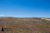 Track 272 Desperado Drive - Photo 5