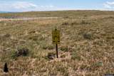 Track 272 Desperado Drive - Photo 9