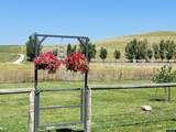 29 Meade Creek Road - Photo 9