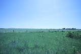 653 Road 9 Lot 2 Highway - Photo 2