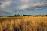77 Sand Creek Ranch Road - Photo 17