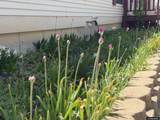 820 Maple St Street - Photo 49