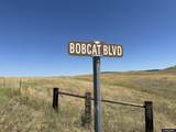Lot 138 Bobcat Boulevard - Photo 2