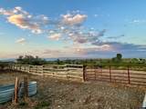 2303 Lane 40 Lane - Photo 39