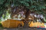 618 Montana Ave - Photo 44