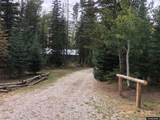 32 A Forest Service - Photo 13