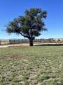 67 El Rancho Rd - Photo 28
