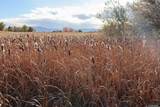  Morrison Ranch Road - Photo 7