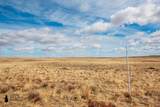 TR 353 Frontier Street - Photo 4