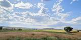 147 Road 71 - Photo 8