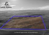 5577 Open Range Road - Photo 2
