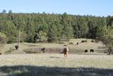 100 Mule Creek Road - Photo 16