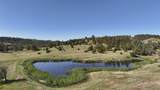 100 Mule Creek Road - Photo 3