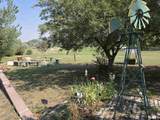 41 Sage Drive - Photo 20