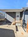 916 Potter Street - Photo 10