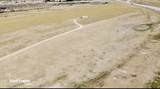 6195 Goldie Lane - Photo 10
