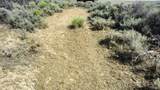 0 Blm Road 2303 - Photo 47