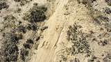 0 Blm Road 2303 - Photo 49