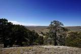 6500 Spike Road - Photo 2