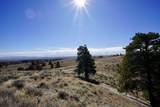 6500 Spike Road - Photo 5