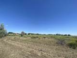  Raintree Lot 4 Dr - Photo 4