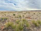 Lot 30 Red Rim Ranch - Photo 1