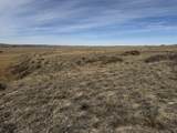 137, 112, 113 Tollefson Trail - Photo 11