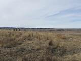 137, 112, 113 Tollefson Trail - Photo 15