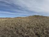 137, 112, 113 Tollefson Trail - Photo 19