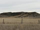 137, 112, 113 Tollefson Trail - Photo 28