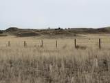 137, 112, 113 Tollefson Trail - Photo 31