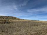 137, 112, 113 Tollefson Trail - Photo 4