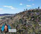 TBD Whalen Canyon Rd - Photo 1