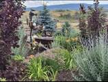 1937 Mill Creek Road - Photo 40