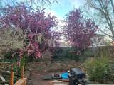 512 Dana Circle - Photo 32