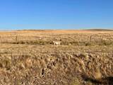 TBD Hwy 32 - Photo 14