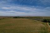 TBD Hwy 32 - Photo 49