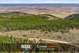  County Road 506 - Photo 12