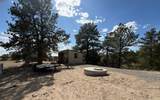 2748 Big Moon Drive - Photo 21