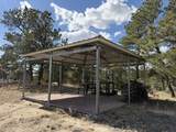 2748 Big Moon Drive - Photo 39