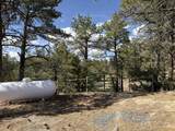 2748 Big Moon Drive - Photo 42