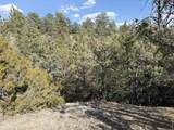 2748 Big Moon Drive - Photo 43