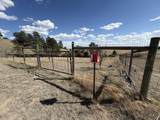 2748 Big Moon Drive - Photo 46