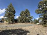 2748 Big Moon Drive - Photo 47