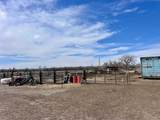 3824 Basin Gardens Rd - Photo 39
