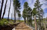  Ponderosa Lot 1 - Photo 3