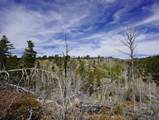 Ponderosa Lot 1 - Photo 7
