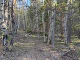 6.44 acres Trail Road - Photo 2